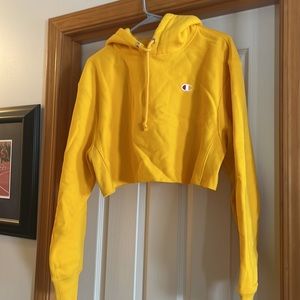 Cropped champion hoodie